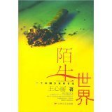 陌生世界 一个中国少女的日记